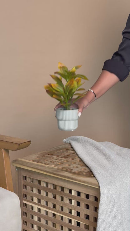 Artificial Ficus Lyrata Sunset Leaf Plant