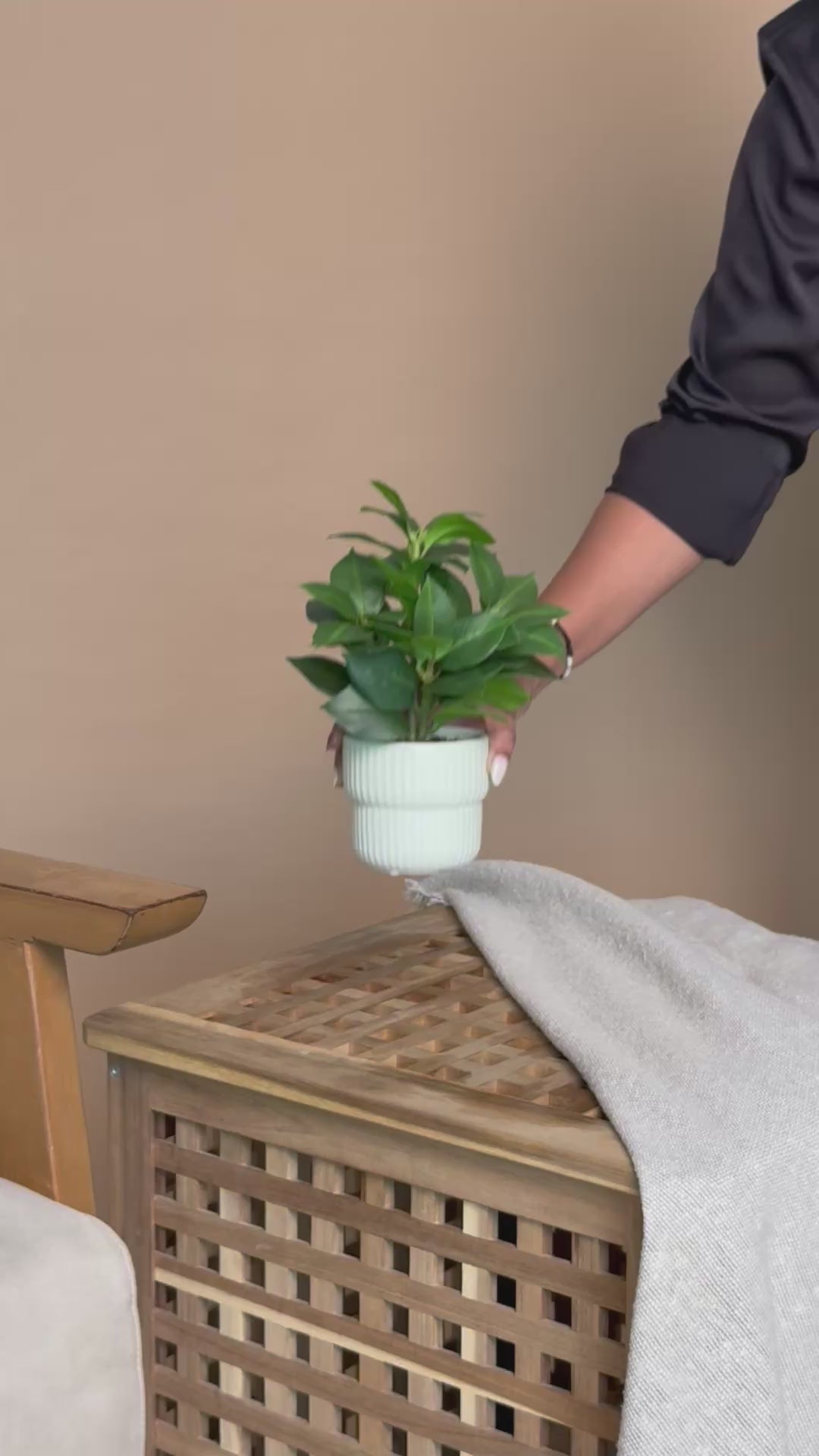 Artificial Camellia Leaf Plant