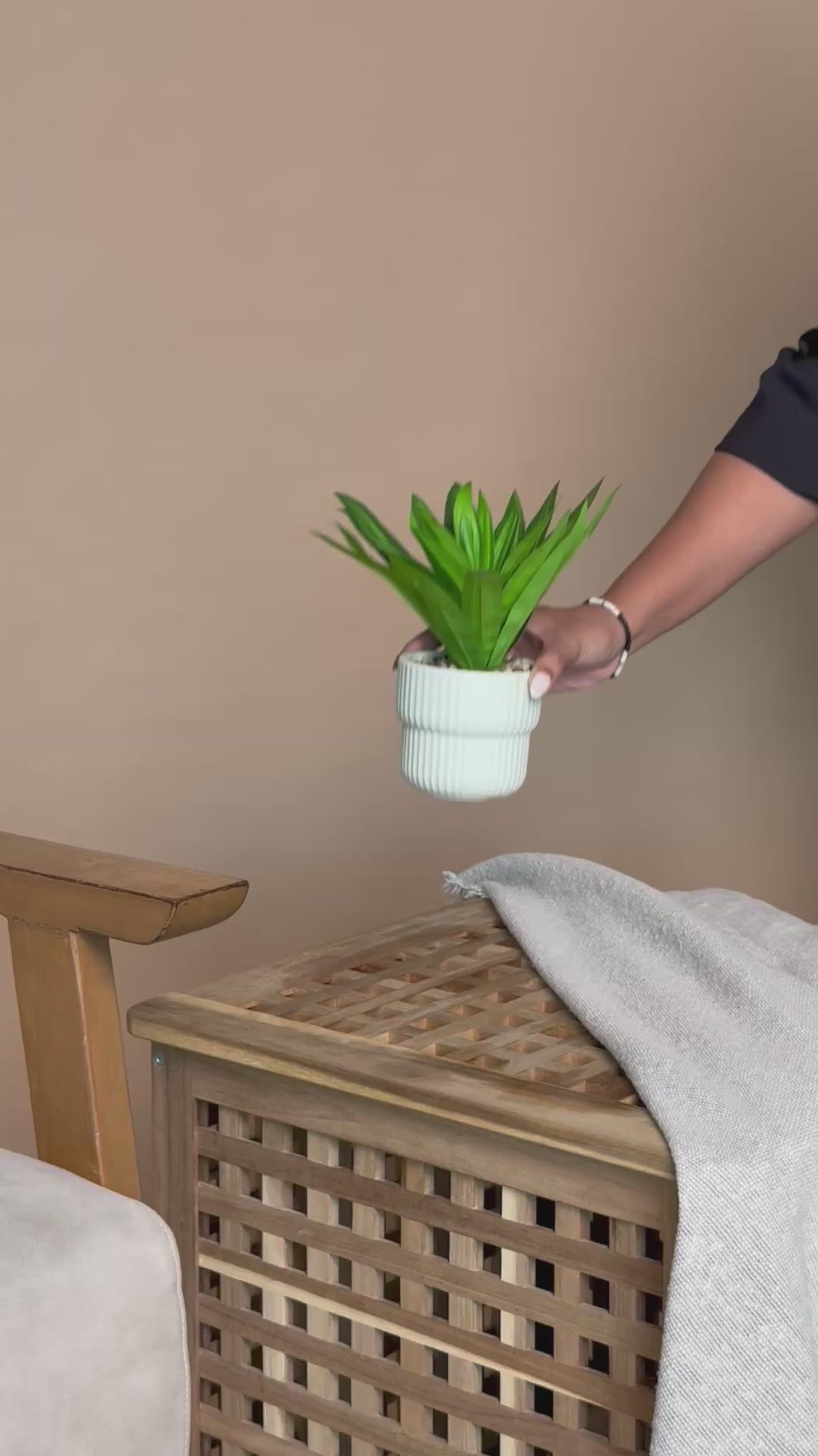 Artificial Dracaena Lemon Lime Plant