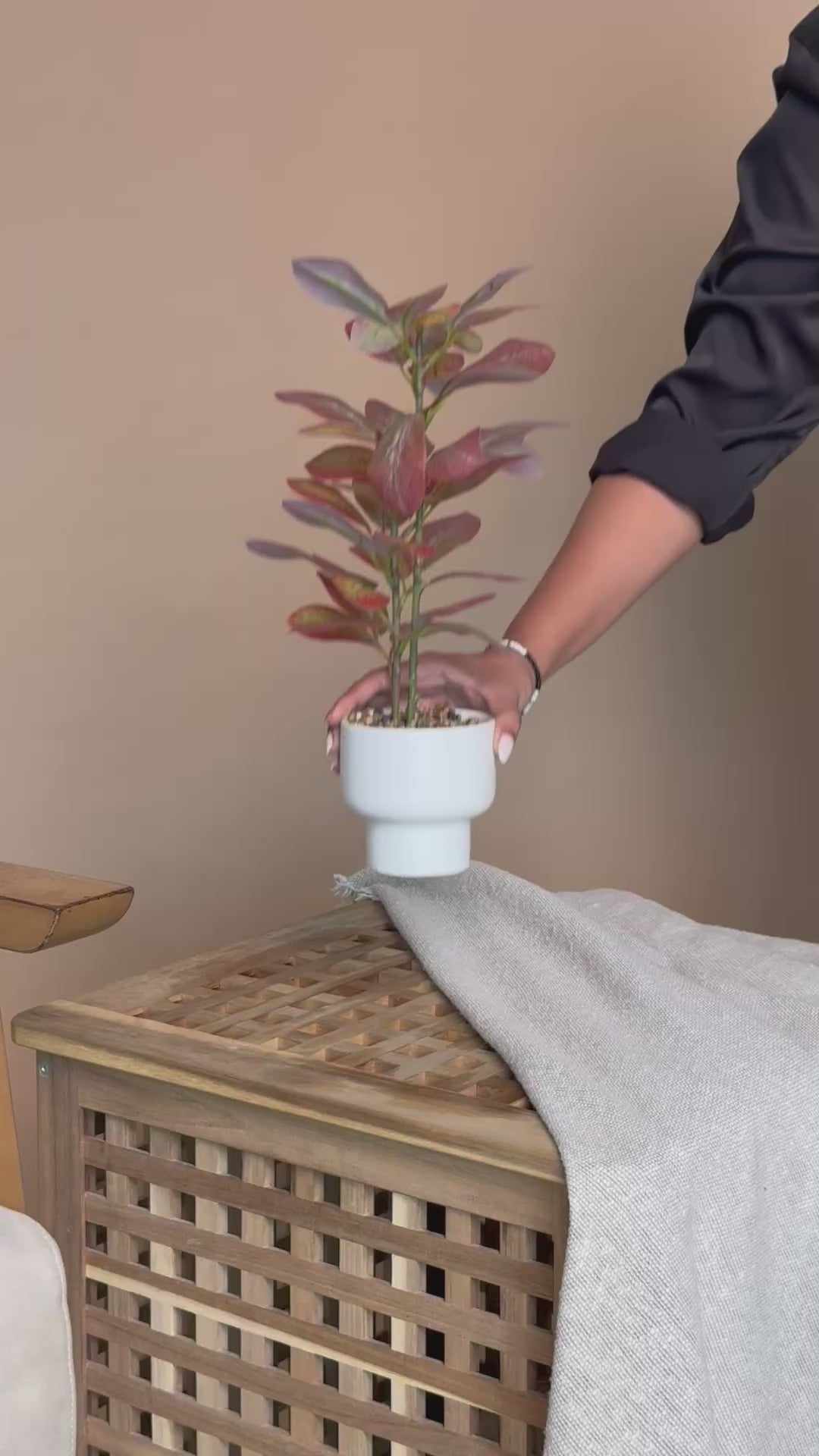 Artificial Autumn Blaze Ficus Plant