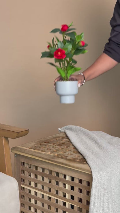Artificial Scarlet Camellia Plant