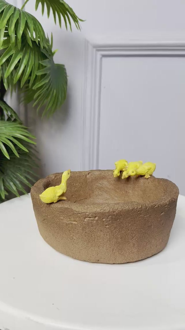Duck Bowl Planter Showpiece
