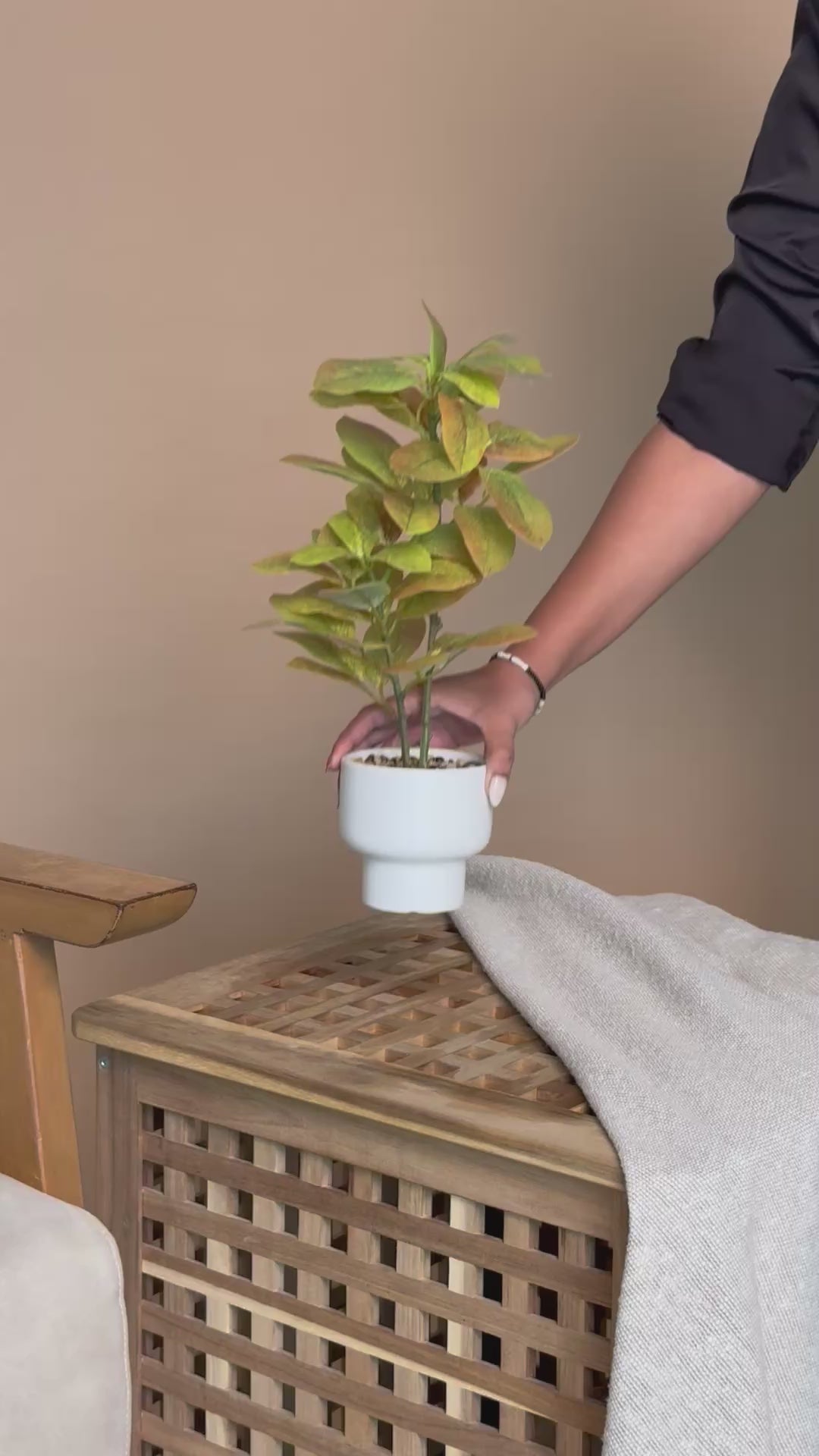 Artificial Variegated Rubber Plant
